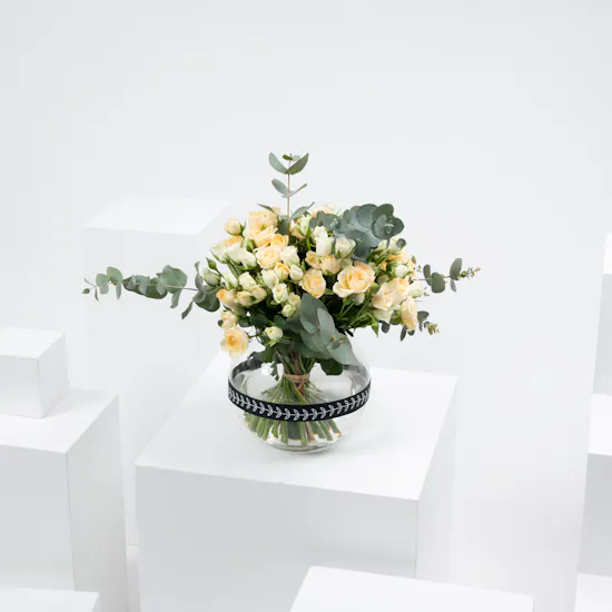 Baby Roses Elegance