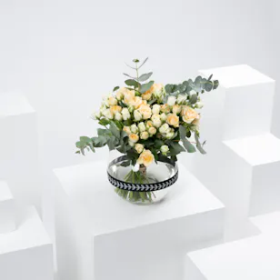 Baby Roses Elegance