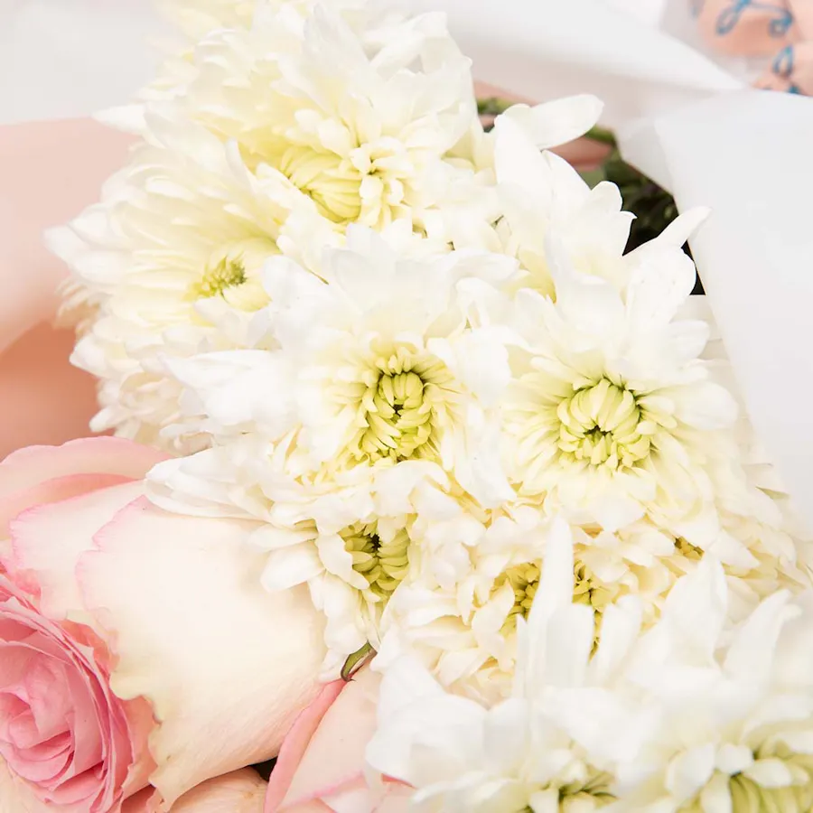 White & Pink | Pink Wrap 3