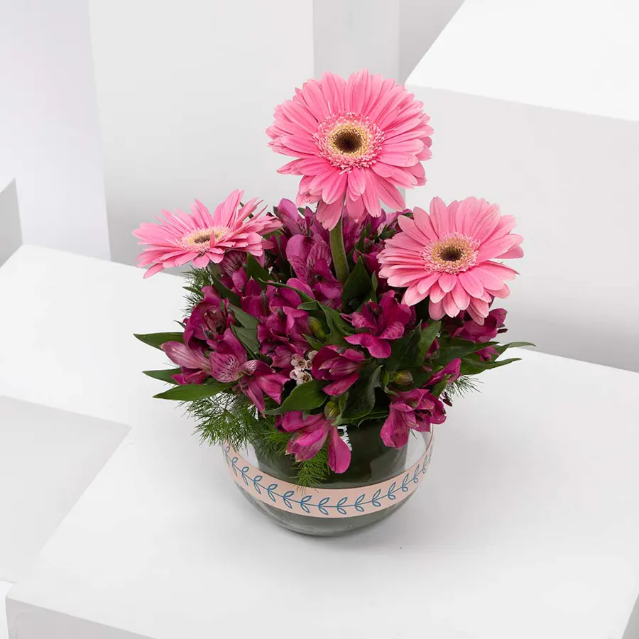 Purplish | Alstroemeria & Gerbera 4