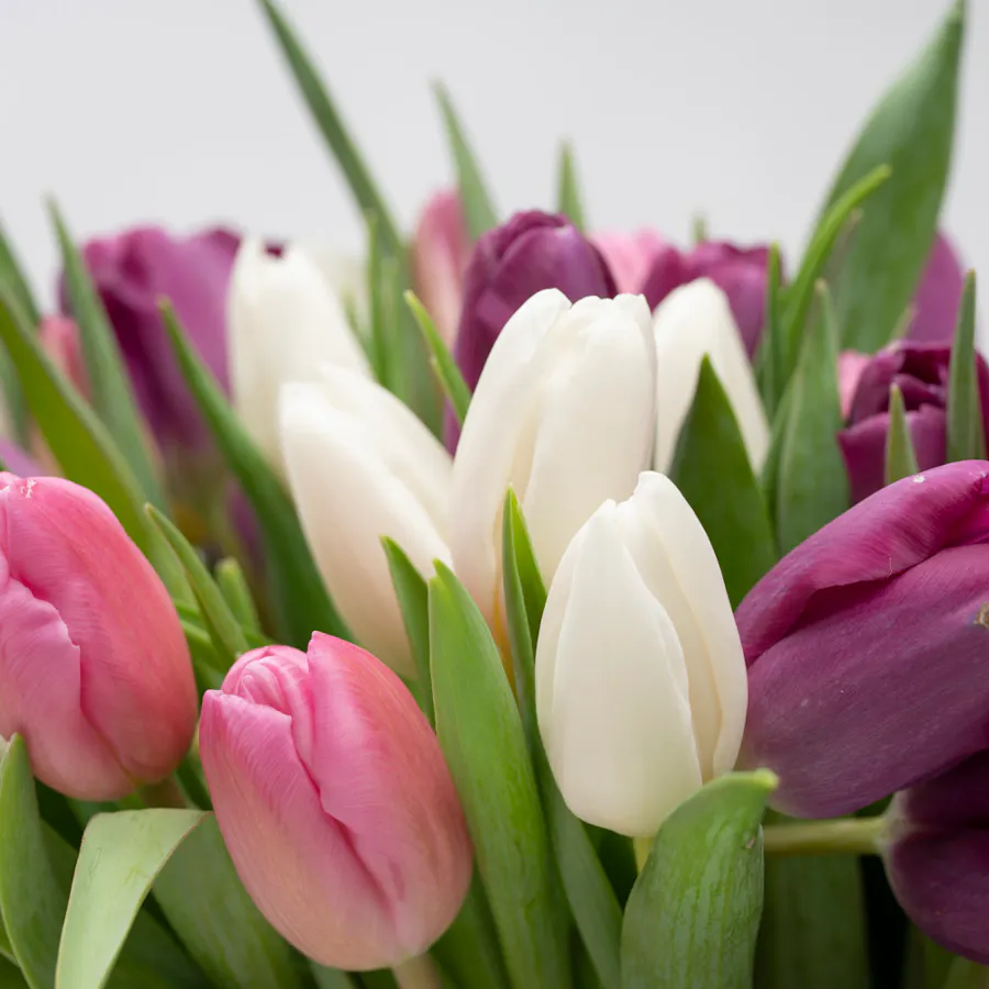 Colorful Tulips | Glass Vase 2