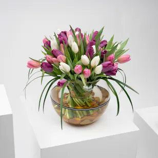 Colorful Tulips | Glass Vase