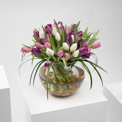 Happiness Tulip by Mona