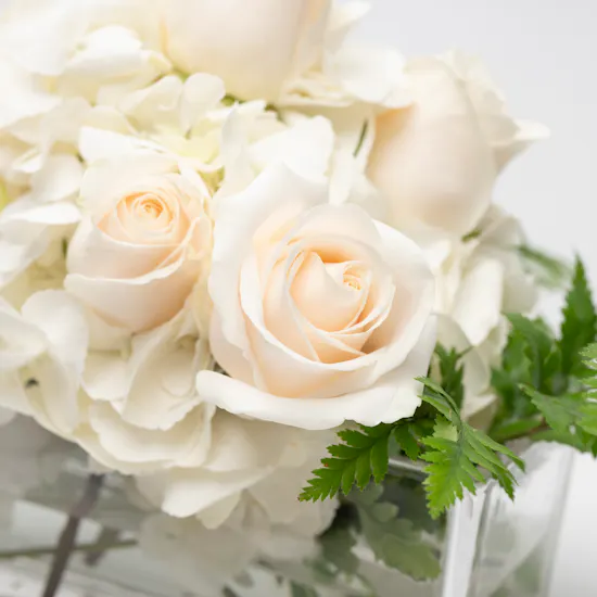 White Elegance | Flowers Vase