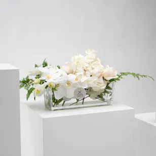 White Elegance | Flowers Vase White Elegance | Flowers Vase