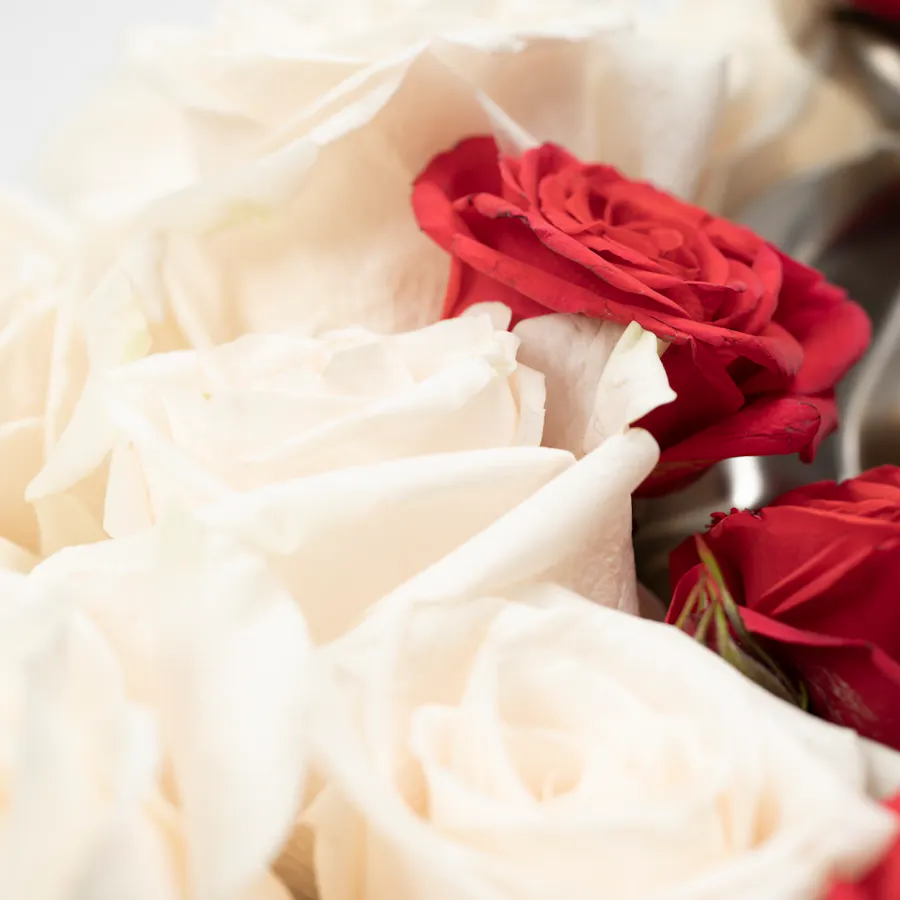 Roses and Chocolates Bear Box 2