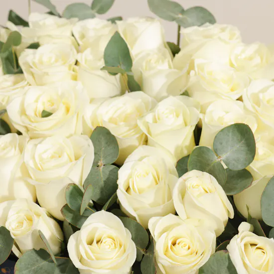 Pure Breeze Flower Box