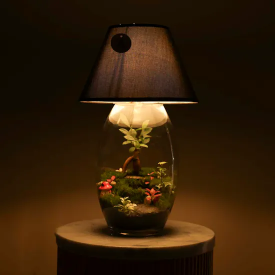 Nano Garden Closed Lamp Terrarium