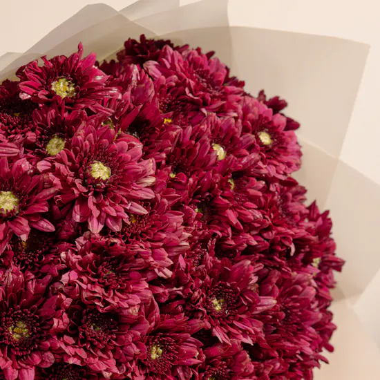 Emotional Moments Bouquet | 25 Chrysanthemum