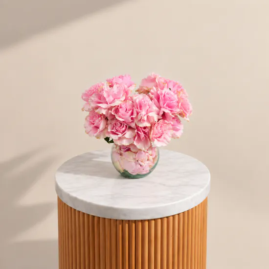 Pink Serenade