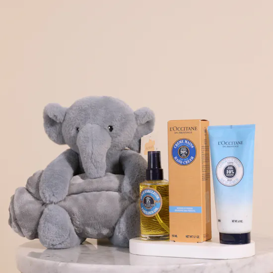 L'Occitane Shea Trio Women's Set | Floward Plush Toy with Blanket Set