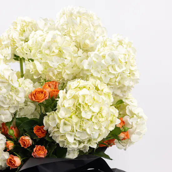 Paradox in Flowers