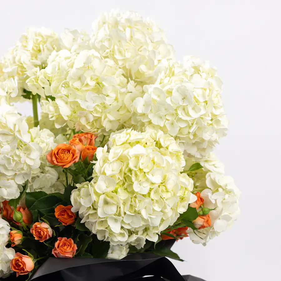 Paradox in Flowers 3