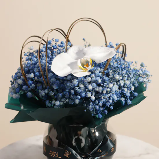 Optimo Membership Voucher with Original Gloves | Midnight Sky Flowers Vase