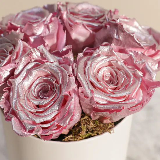 Preserved Pink Roses Box