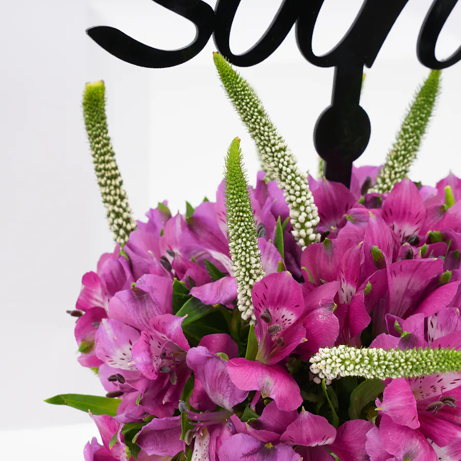 Get well soon | Purple Alstromeria  6