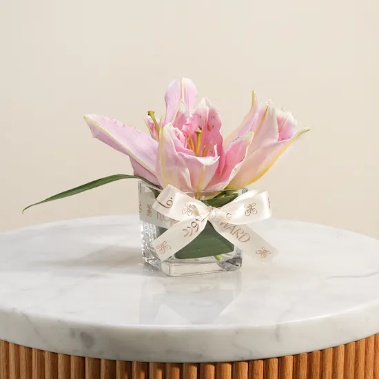 Whispering Pink Lily Vase