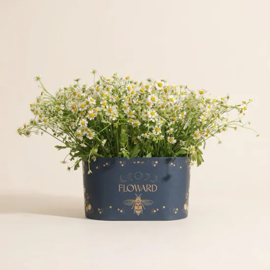 Spring Charm Chamomile Box
