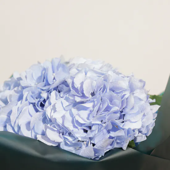 Munch Bakery Blue Velvet Cake | Distinctive Charm Flowers Bouquet