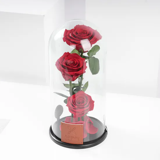 Red Preserved Roses