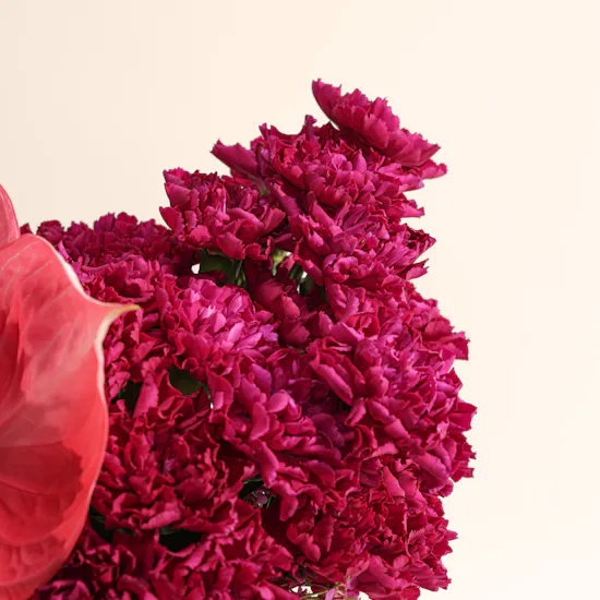 Astral Maison Flower Box