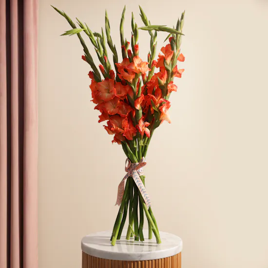 Orange Gladiolus | Flowers Bouquet