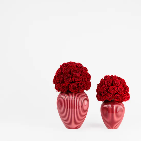 Preserved Roses Trio