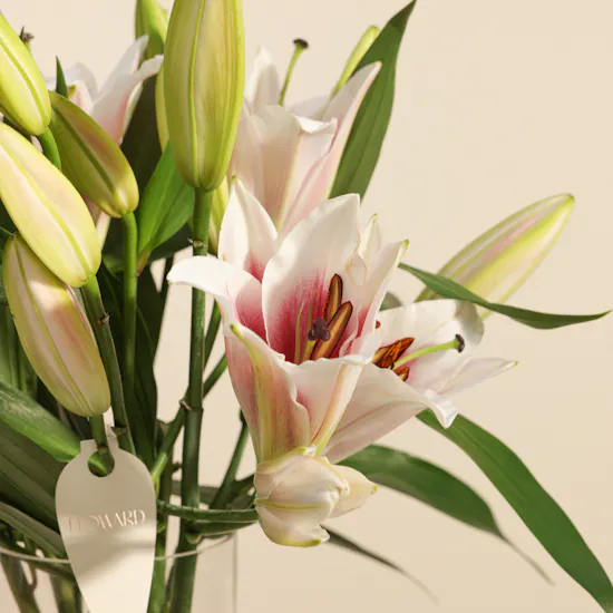 Abucci Classic Chocolate Box | Graceful Flower Vase
