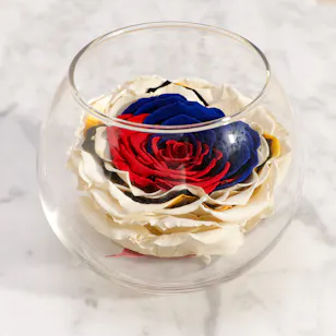 Radiant Preserved Rose Vase