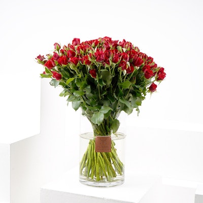 Medium Red Baby Roses Cylinder Vase