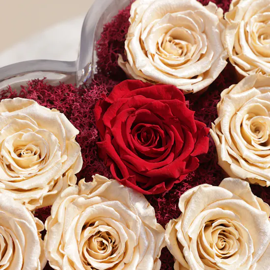Eternal Love Preserved Rose Vase