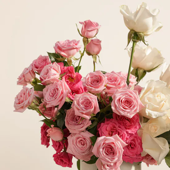 Blush Harmony Flowers Box