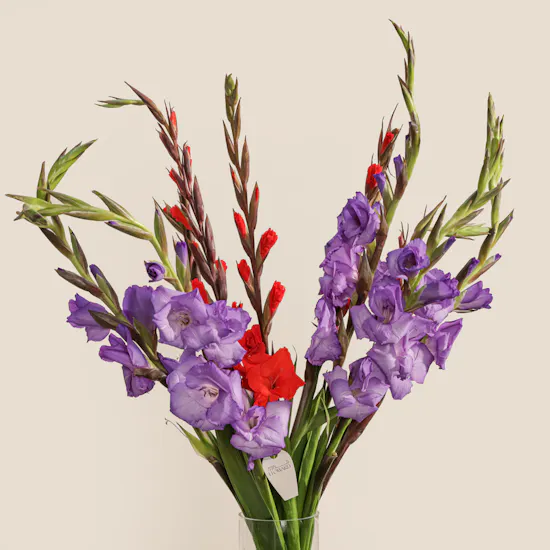 Royal Scarlet Flower Vase