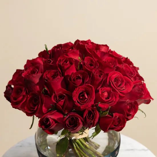 Love's Passion Blooms