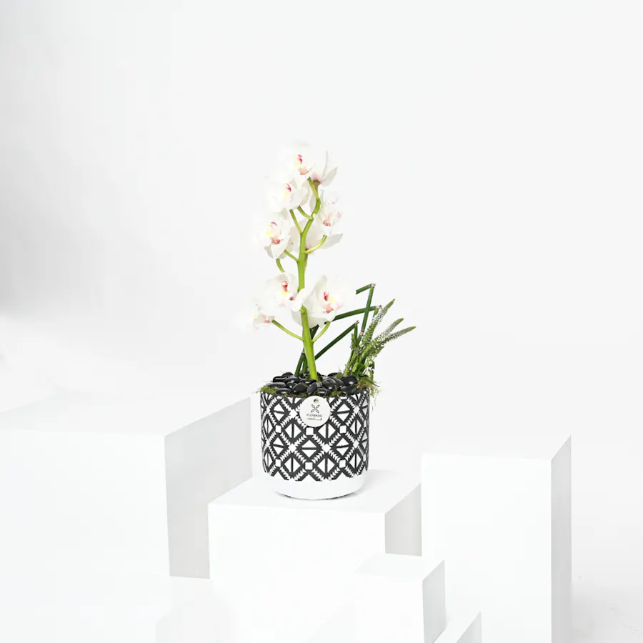 Unique Cymbidium | Vase 5