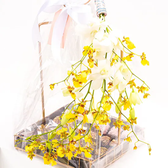 NJD | Dates Basket
