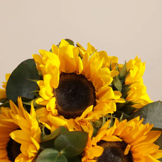 Soft Sunshine Flower Box | 10 Flowers
