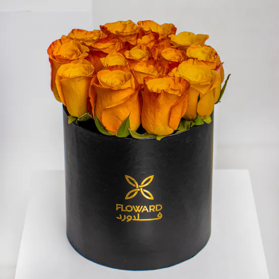 Fancy Bloom | Orange Roses