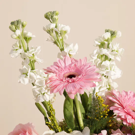 Delightful Charm Flowers Box