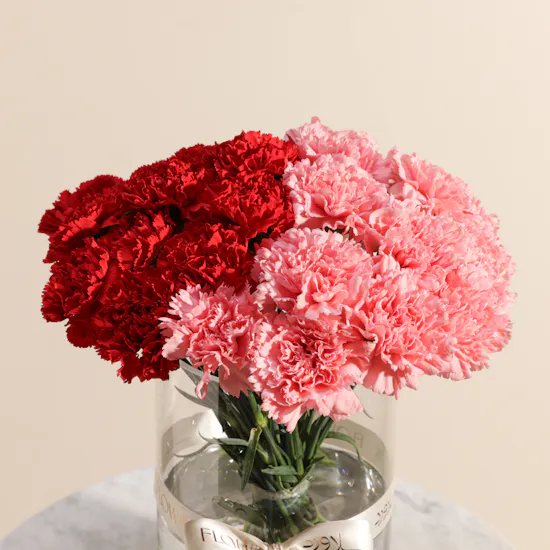 Radiance Carnations Vase