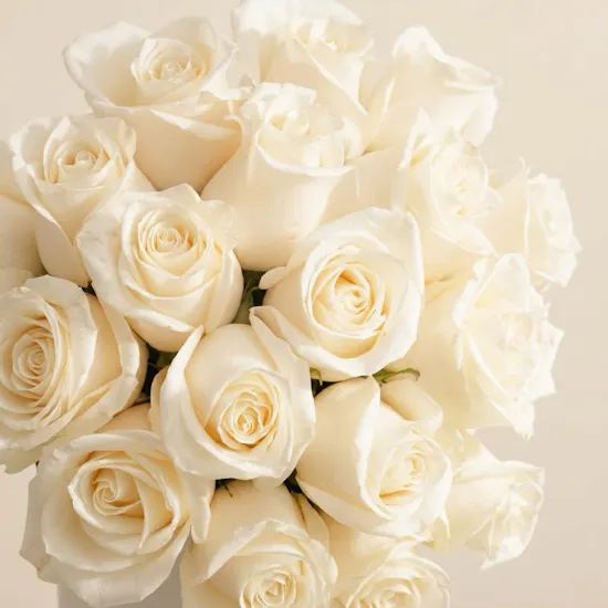 Dreamy White Rose Box | 17 Flowers