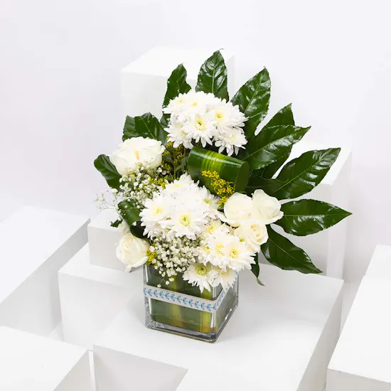 Get Well Soon White Peacock Vase