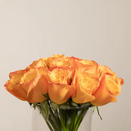 Orange Roses | Flowers Vase