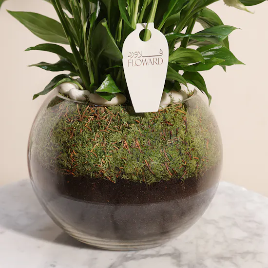 Peace Lilies Aqua Vase