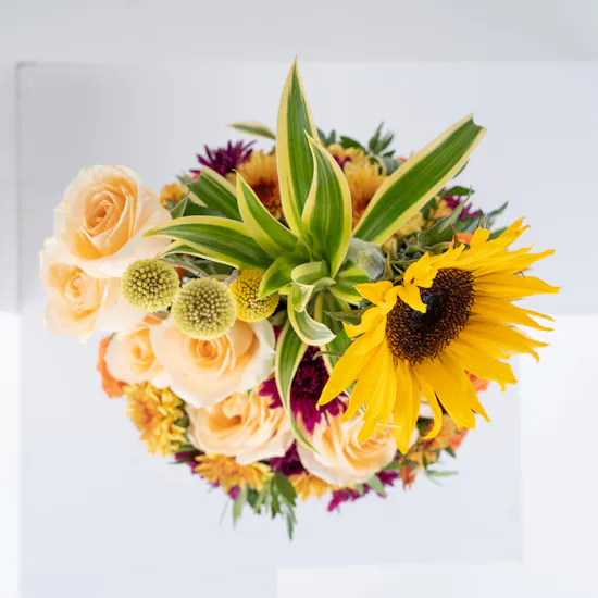 Sunlight Hug | Cylinder Vase