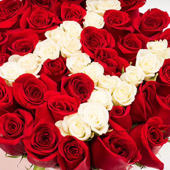 White Baby Rose Letter | Red Roses Box