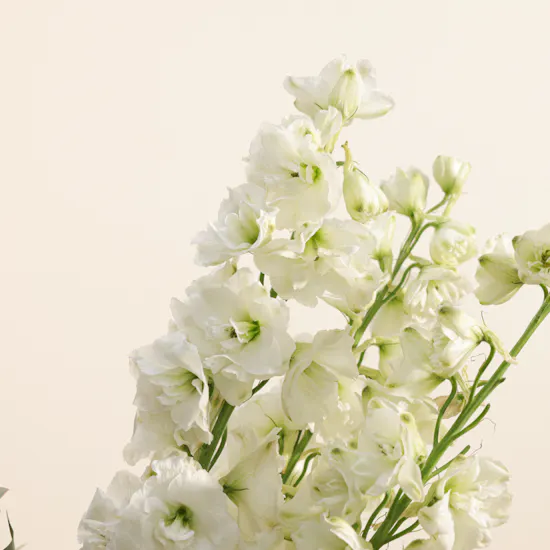 Echoes of Tradition Flowers vase