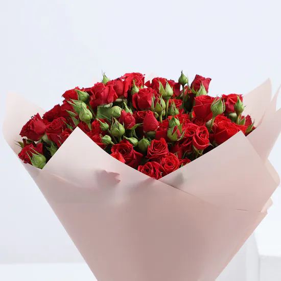 30 Red Baby Roses |Pink Wrap