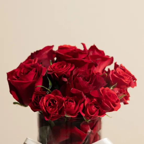 Red Symphony Rose Vase