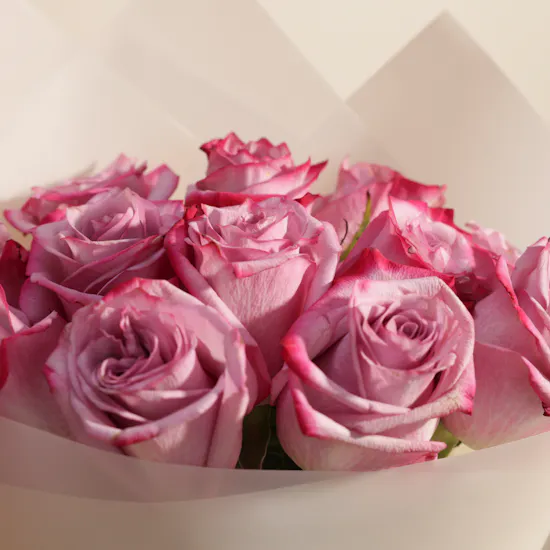 Plush Purple Roses Bouquet | 12 Roses